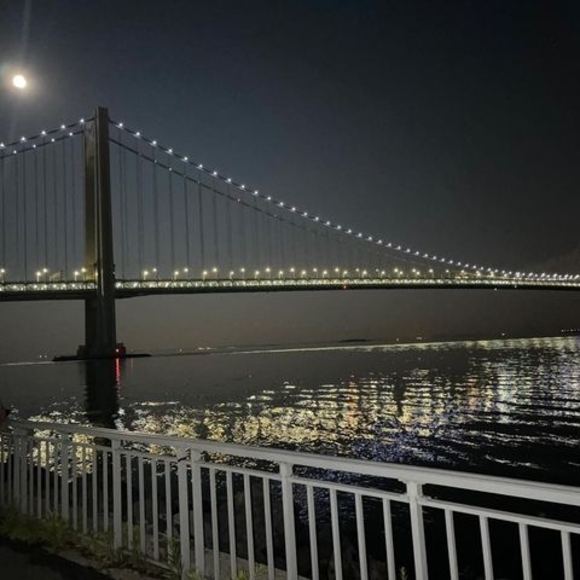 Meet your Posher, Ela - Picture 1 of 1